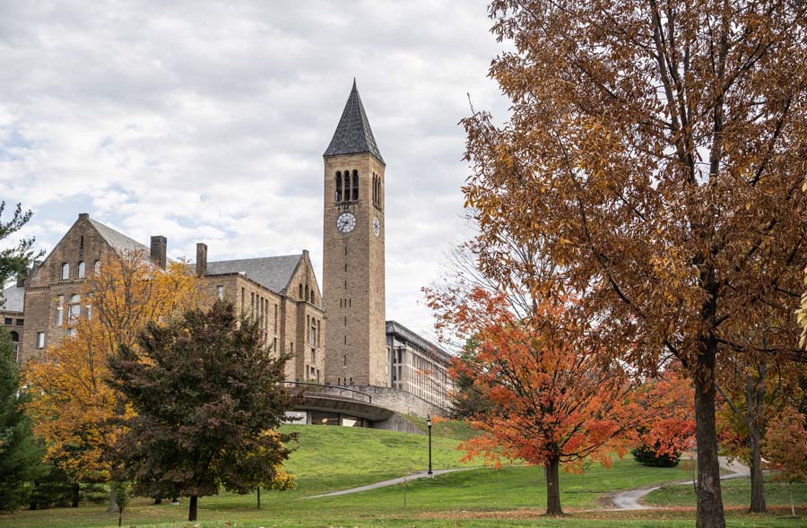 cornell university